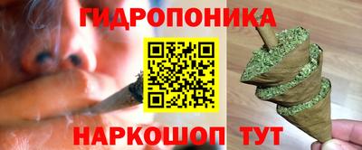 Альфа ПВП Славянск-на-Кубани